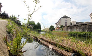 Des radeaux flottants ont été végétalisés et installés sur la Vilaine, à Rennes. Ici avant leur départ vers la place de la République.