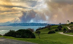 Le feu de forêt sur la commune d'Ascain, avait détruit 450 hectares de végétation