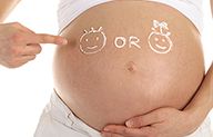 Calendrier Maya : fille ou garçon, comment connaître le sexe de bébé ?