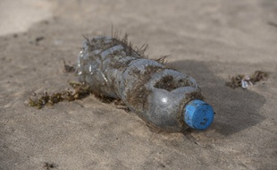 Une bouteille en plastique échouée sur une plage (image d'illustration).