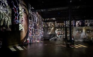 Vue de l'Atelier lors de l'expositio immersive "Last Sentinels"