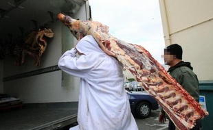 Quelque 11 tonnes de viande de cheval ont été livrées aux Pays-Bas dans le cadre de l'enquête sur un trafic mis à jour dans le sud de la France à la mi-décembre, a-t-on appris mardi auprès des autorités sanitaires locales.