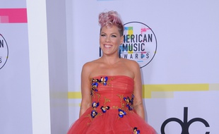 La chanteuse Pink