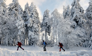 La neige tombe de nouveau sur le massif des Vosges en ce début février, et les risques de coulées sont encore d'actualité. Illustration