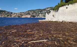 Ce lundi, une nappe de bois se concentre devant la plage de Passable, à Saint-Jean-Cap-Ferrat.