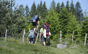 Des randonneurs dans le parc régional des Volcans d'Auvergne.