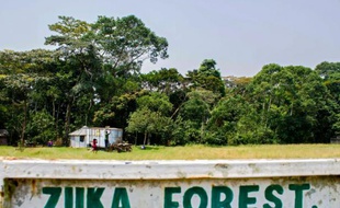 L'entrée de la forêt Zika en Ouganda, le 29 janvier 2016