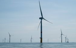 La Cour des comptes dénonce l’inaction en matière de transition écologique