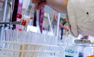 Laboratoire de chimie (Illustration)