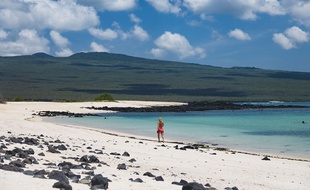 Une plage des îles Galapagos en mars 2019.