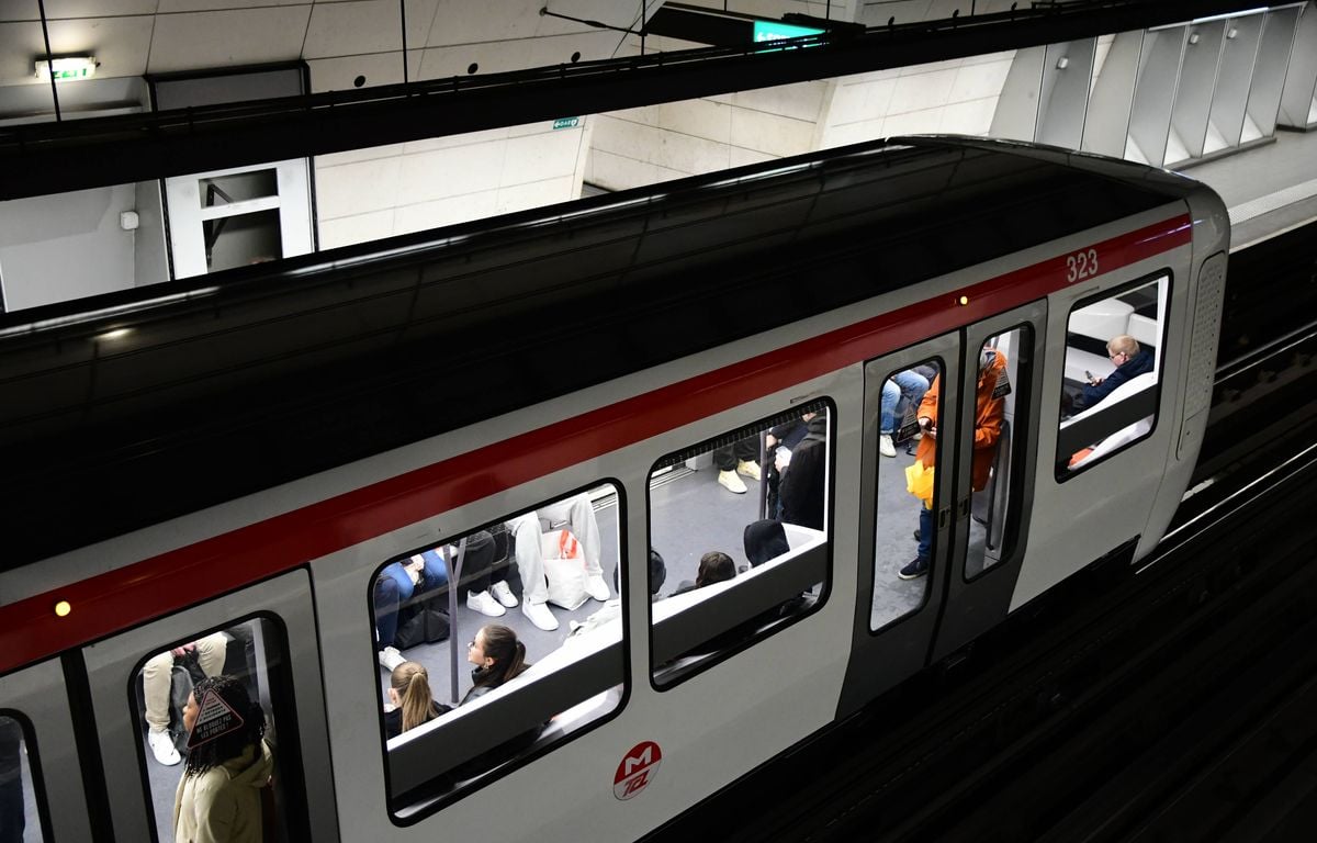 Lyon : « Sale raciste »... La vidéo d'un ex-candidat RN frappé par une femme dans le métro devient virale