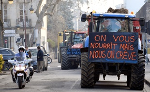 Une centaine d'agriculteurs se sont mobilisés pour alerter sur les nombreux suicides qui surviennent dans leur profession.