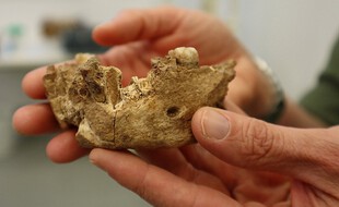 La morphologie de l'Homo Nesher Ramla diffère de celle de l'homme moderne.