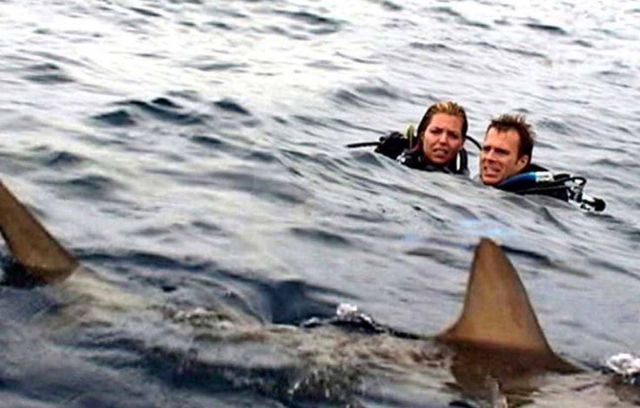 « Open Waters », sorti en 2004, donne un aperçu des vacances au soleil qui virent au cauchemar. Susan et Daniel font de la plongée en groupe au large des Bahamas, mais le bateau repart en les oubliant. Et c’est une longue attente qui commence. Le pire (si vous ne le saviez pas) c’est que tout ça est tiré d’une histoire vraie…