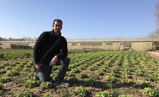 Lionel Garnerone, dernier paysan de Marseille.