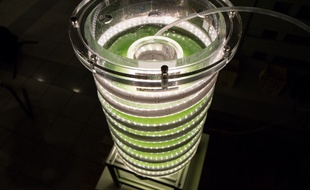 Le prototype de phytotière, sorte de yaourtière pour cultiver des micro-algues chez soi, développé par la start-up toulousaine Alg&You.
