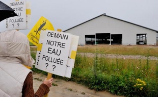 Des manifestants contre la ferme des 1.000 vaches, le 29 juin 2014 à Drucat