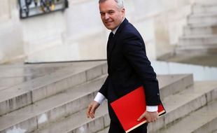 François De Rugy à l'Elysée. AP Photo/François Mori.
