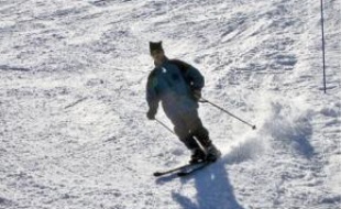 La neige est tombée sur les Pyrénées.