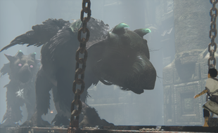 Trico, un animal gigantesque et étonnant qui se lie d'amitié avec un petit garçon. Une relation forte, touchante et fragile à la fois.