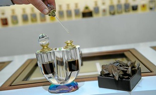 L'oud se présente sous forme d'essence ou de bois fossilisé.