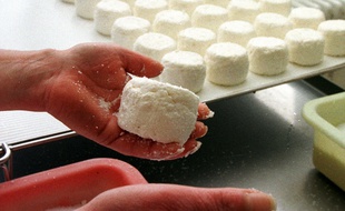Opération de salage du crottin de Chavignol chez un fromager-affineur de Sancerre.