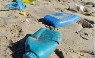 Le plastique abonde sur les plages.