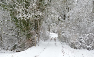 Les chutes de neige en cours sur le Massif Central atteignent le Limousin à l’ouest, et continuent à s’étendre vers le Centre et la Bourgogne au nord pour arriver aux portes de l’Ile-de-France.