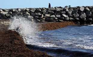 L'Australie veut faire inscrire dans le protocole de Londres sur la prévention de la pollution des mers l'interdiction absolue de fertiliser les océans sans justification scientifique, a annoncé jeudi le gouvernement australien.