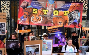 Manifestation contre la presence des animaux dans les cirques, devant l hotel de ville de Lyon a quinze jours des elections municipales.