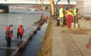 L'association Des espèces parmi'Lyon veut recréer une réserve animale et végétale le long des berges du Rhône à Lyon.
