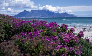 Vue sur la ville du Cap et Table mountain, en Afrique du Sud.