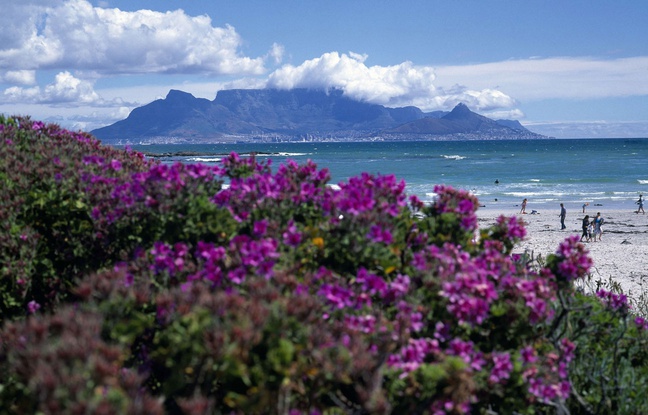 Vue sur la ville du Cap et Table mountain, en Afrique du Sud. Vue sur la ville du Cap et Table mountain, en Afrique du Sud.