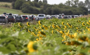 Bouchons sur l'A7, à proximité de Valence.