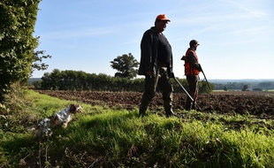 Le prix du permis de chasse va être réduit.