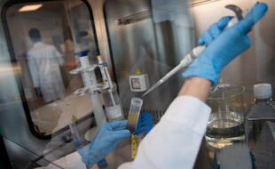 A Nantes, au sein de la biotech Ose immunotherapeutics