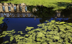 Une de sphotos de la place Gambetta retenue dans le cadre du concours photos lancé par l'association SOS Place Gambetta.