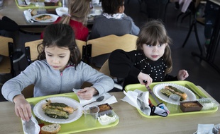 La décision d'imposer dès lundi des menus uniques sans viandes dans les écoles de Lyon a vivement fait réagir l'opposition. (illustration