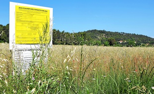C'est sur ce champ de 24 hectares qu'est prévu Oxylane, .