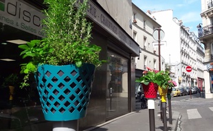 Les chapotelets, une bonne idée pour embellir les poteaux de rue et verdir la ville...