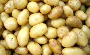 Les pommes de terre ont une mauvaise réputation. Pourtant, bien apprêtées, elles recèlent des bienfaits pour la santé
