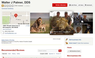 Capture d'écran du compte Yelp de Walter Palmer.
