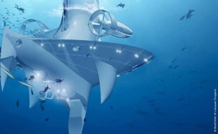 C'est une "sentinelle de la mer" unique au monde, dérivant au gré des courants océaniques, qui verra le jour en 2014: le vaisseau océanographique futuriste SeaOrbiter entre en phase de construction au printemps aux chantiers navals de Saint-Nazaire et Cherbourg.
