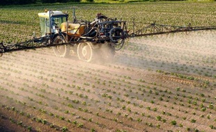 La France a bien du mal à se passer des pesticides, dans l'agriculture qui en consomme plus de 90% mais aussi, plus étonnant, jusque dans les cimetières de Paris devenus les derniers bastions du tout chimique face aux herbes folles.