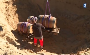 Douze tonneaux de la cave coopérative de Tursan vont être élevés pendant 6 mois sous le sable, dans les Landes.