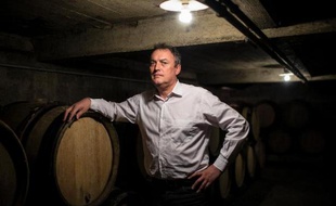 Un vigneron bio de Côte-d'Or comparaît lundi à Dijon pour avoir refusé de traiter ses ceps contre une maladie, la flavescence dorée, un procès qui scandalise les écologistes tandis que la profession bourguignonne s'inquiète d'une mauvaise publicité.