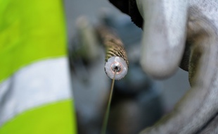Un câble sous-marin de fibres optiques.