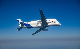 Le Beluga XL d'Airbus lors d'un vol d'essai.