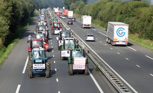 Manifestation des agriculteurs sur la quatre voies entre Rennes et Laval le 2 septembre 2015.