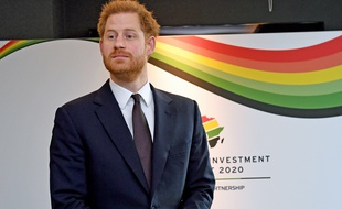 Le prince Harry